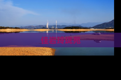 佳岩玲珑苑