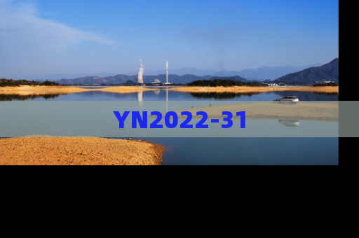 YN2022-31