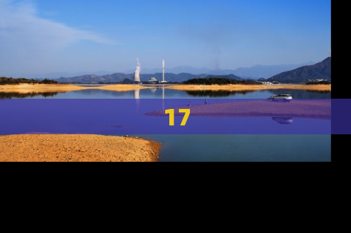 17