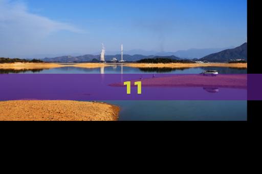 11