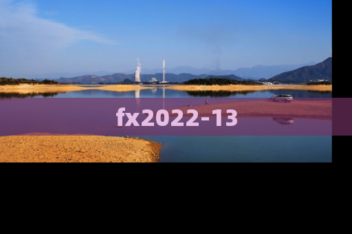 fx2022-13
