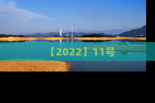【2022】11号