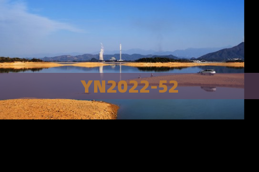 YN2022-52