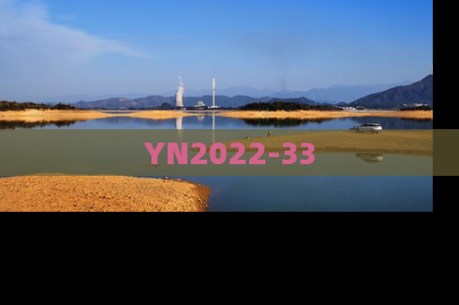 YN2022-33