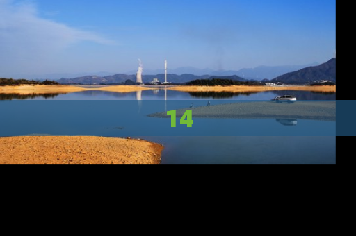 14