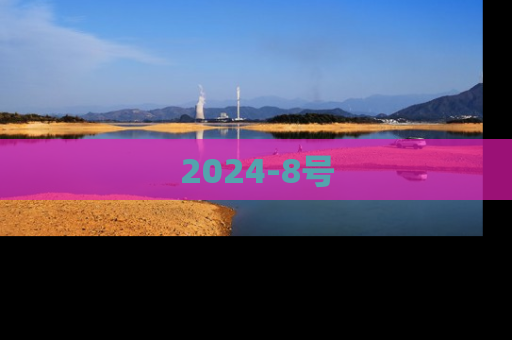 2024-8号