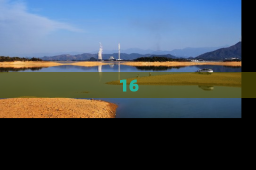 16
