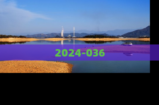 2024-036
