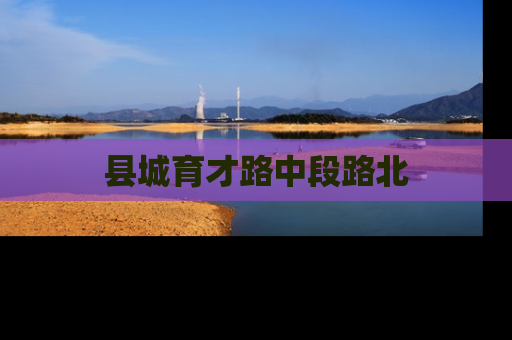县城育才路中段路北