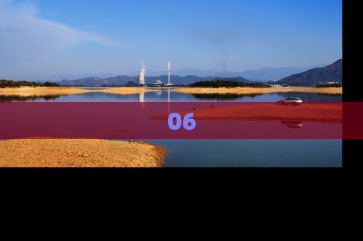 06