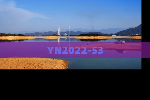 YN2022-53