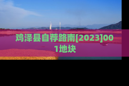 鸡泽县自荐路南[2023]001地块