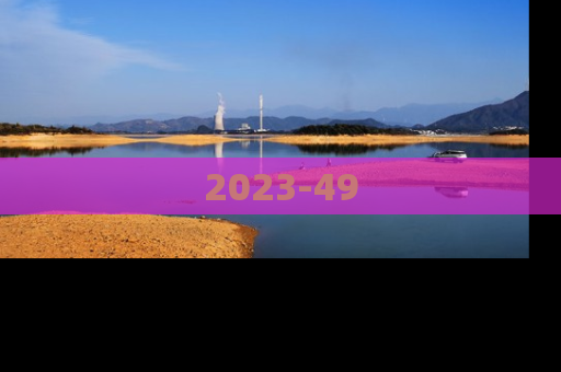 2023-49