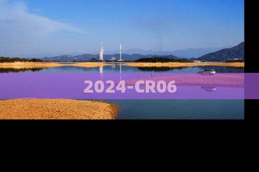 2024-CR06
