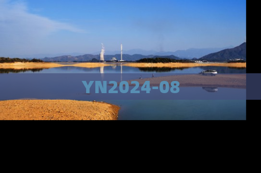 YN2024-08