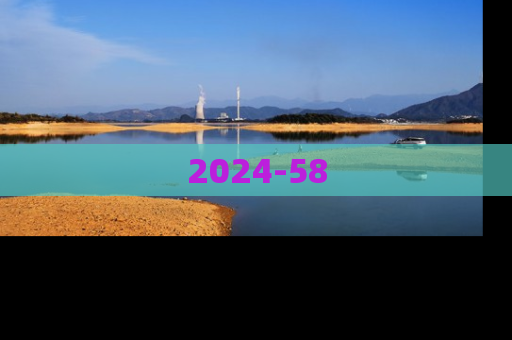 2024-58