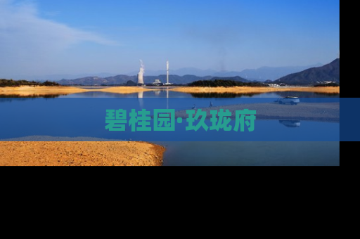 碧桂园·玖珑府