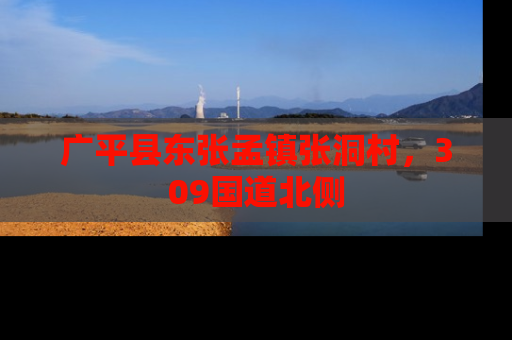 广平县东张孟镇张洞村，309国道北侧
