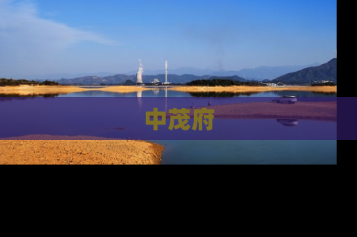 中茂府