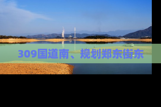 309国道南、规划郑东街东