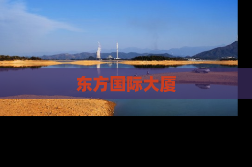 东方国际大厦
