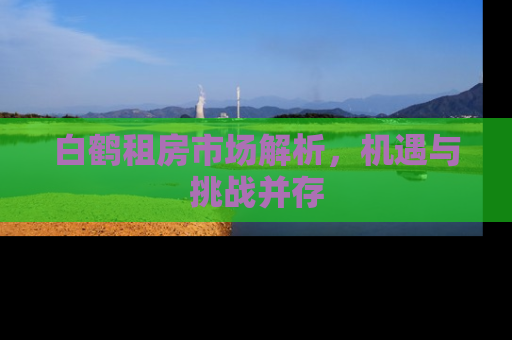 白鹤租房市场解析，机遇与挑战并存