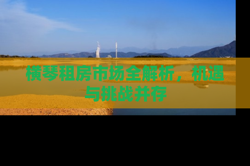 横琴租房市场全解析，机遇与挑战并存