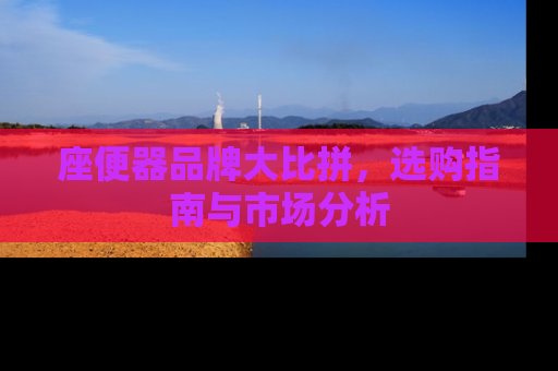 座便器品牌大比拼，选购指南与市场分析