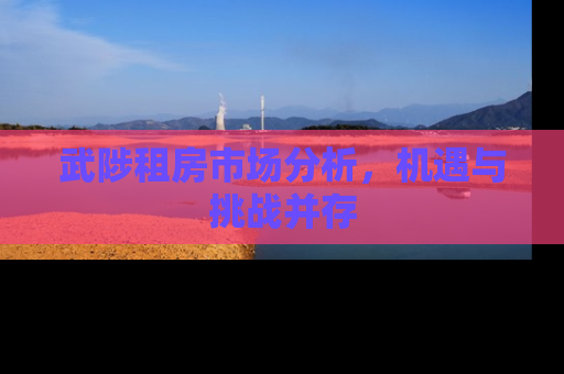 武陟租房市场分析，机遇与挑战并存