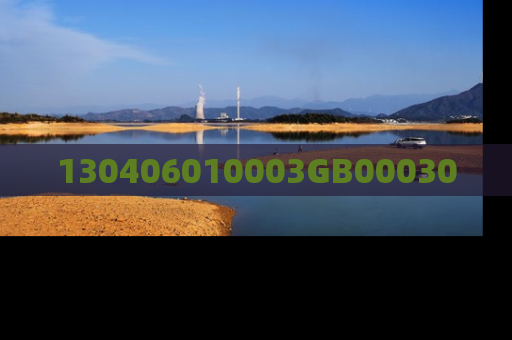 130406010003GB00030