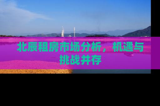 北辰租房市场分析，机遇与挑战并存
