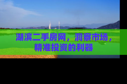 湖滨二手房网，洞察市场，精准投资的利器