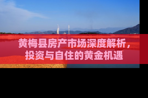 黄梅县房产市场深度解析，投资与自住的黄金机遇
