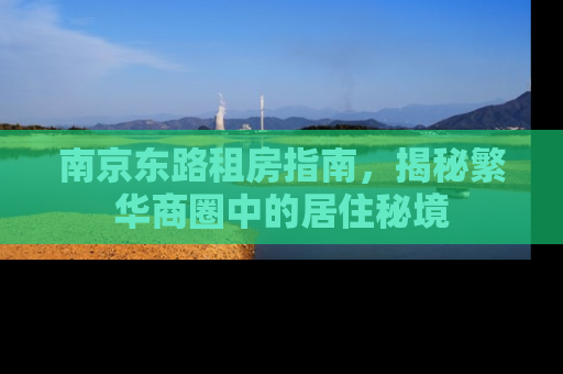 南京东路租房指南，揭秘繁华商圈中的居住秘境
