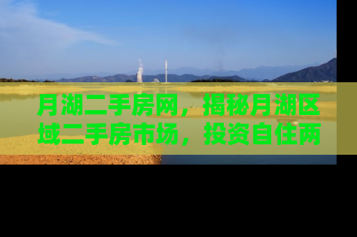 月湖二手房网，揭秘月湖区域二手房市场，投资自住两相宜