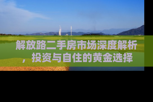 解放路二手房市场深度解析，投资与自住的黄金选择