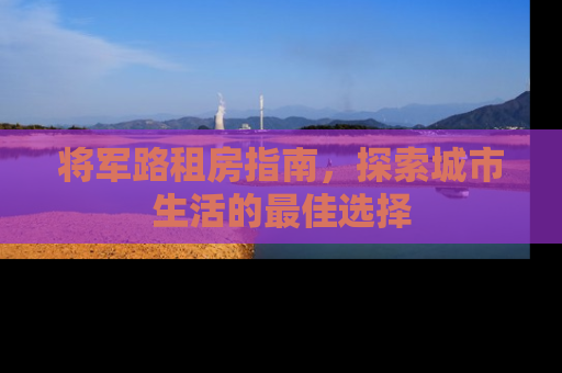 将军路租房指南，探索城市生活的最佳选择