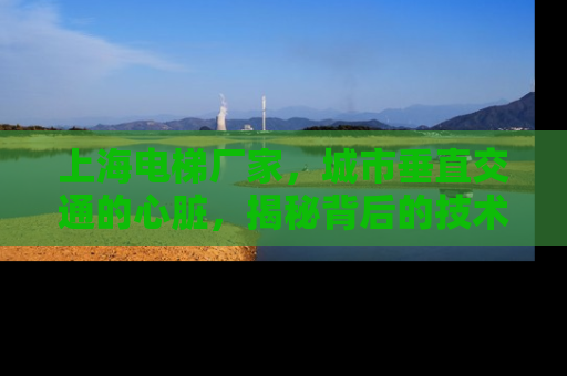 上海电梯厂家，城市垂直交通的心脏，揭秘背后的技术与服务
