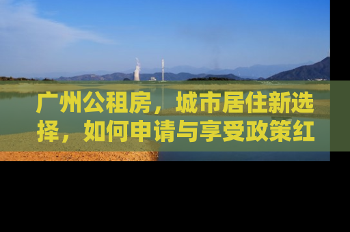广州公租房，城市居住新选择，如何申请与享受政策红利？