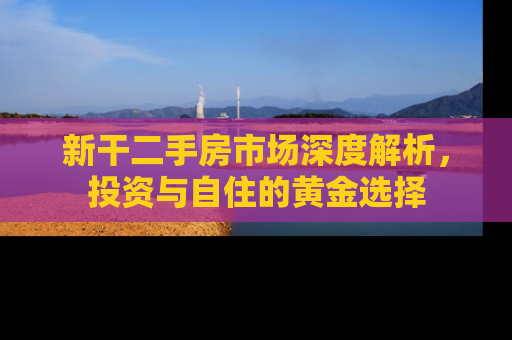 新干二手房市场深度解析，投资与自住的黄金选择