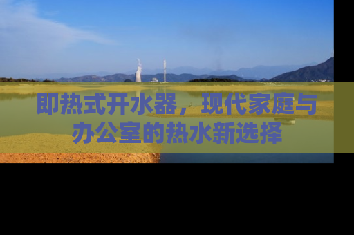 即热式开水器，现代家庭与办公室的热水新选择