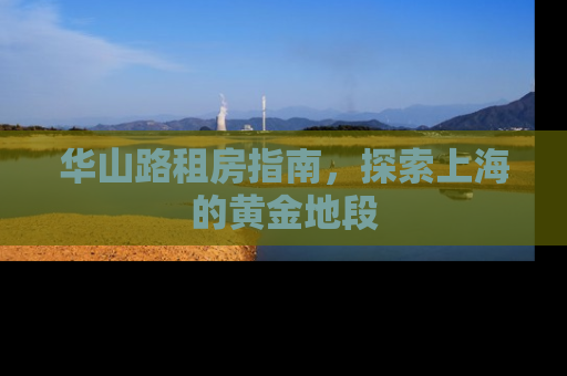 华山路租房指南，探索上海的黄金地段