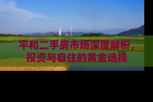 平和二手房市场深度解析，投资与自住的黄金选择
