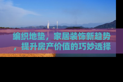 编织地垫，家居装饰新趋势，提升房产价值的巧妙选择