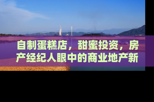 自制蛋糕店，甜蜜投资，房产经纪人眼中的商业地产新机遇