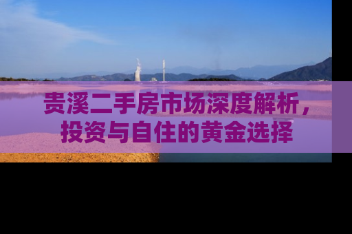贵溪二手房市场深度解析，投资与自住的黄金选择