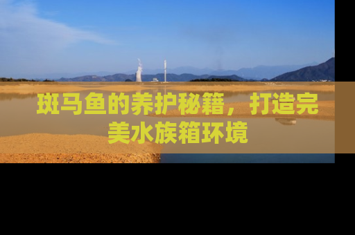 斑马鱼的养护秘籍，打造完美水族箱环境