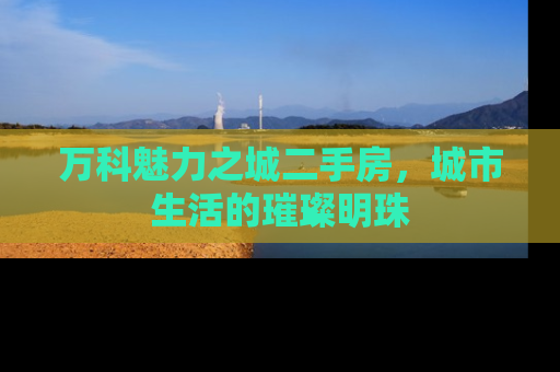 万科魅力之城二手房，城市生活的璀璨明珠