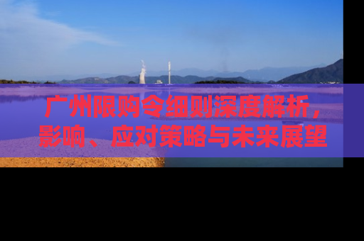 广州限购令细则深度解析,影响、应对策略与未来展望 广州限购令细则深度解析,影响、应对策略与未来展望