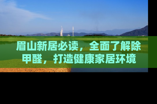 眉山新居必读，全面了解除甲醛，打造健康家居环境